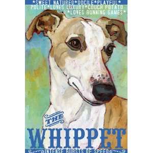  Whippet Dog Print from Oil Original by Ursula Dodge   finished size 