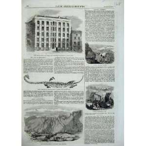  Granite Quarries Aberdeen 1857 Strand Buildings Fossil 