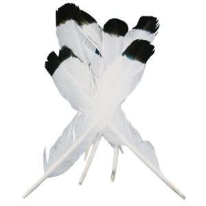  Simulated Eagle Feathers 4/Pkg White With Black Ti 