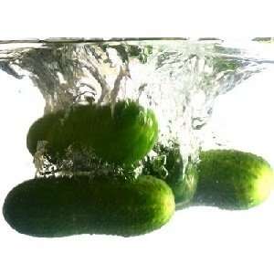 Freshwater Cucumber Type home fragrance oil 15ml 