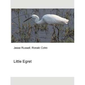 Little Egret [Paperback]