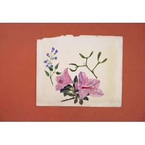  Flower Color Plant Painting Sketch Drawing Antique