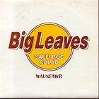 BIG LEAVES sly alibi 7 (wcrack002) pic slv uk whipcord 1999