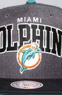 Mitchell & Ness The Miami Dolphins Arch Logo G2 Snapback Hat in Gray 