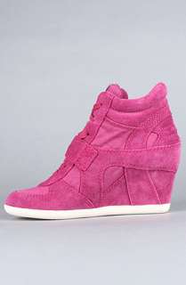 Ash Shoes The Bowie Sneaker in Fuxia Suede and Washed Canvas 