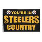 Super Bowl 10 (X) Pittsburgh Steelers Champions 8x32 Banner