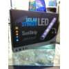 Econlux LED SunStrip StarterSet 20cm Coral Plant Dimmbar mit Halter 