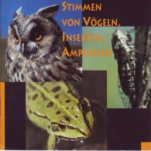   Vögeln, Insekten, Amphibien  Diethelm Zimmermann Bücher