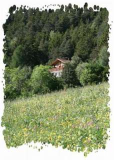 idyllisches Ferienhaus im Wallis Schweiz Chalet Majema  