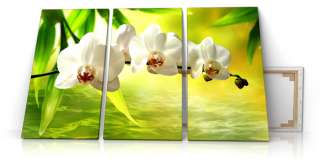 Orchideen, Leinwand Bild auf Keilrahmen, XXL, 3 teilig, grün  