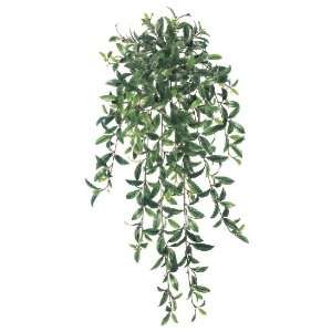  36 Inchs Large Ruscus Bush   Two Tone Green   Qty of 6 