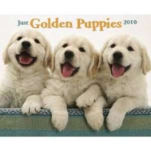  Just Golden Puppies 2010 Wall Calendar