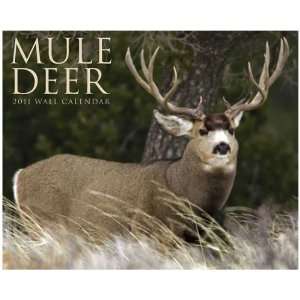  Mule Deer 2011 Wall Calendar By Willow Creek Press [Size 
