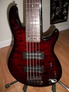 Schecter Raiden Special 5 String Bass Guitar BCH   NIS  
