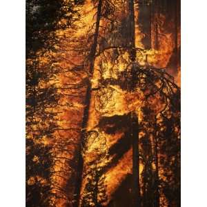  A crew burns out a portion of sub alpine firs near Warm 