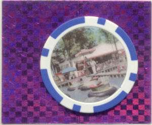 RIVERVIEW AMUSEMENT PARK WATER BUG RIDE COLLECTOR CHIP  