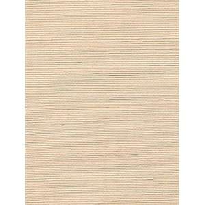  Wallpaper Astek Grasscloth & textures V AtX226
