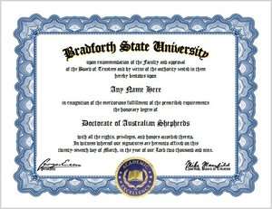 Australian Shepherd Diploma   Australian Shepherds Dog Lover Diploma 