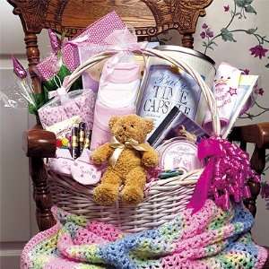  Baby Bountiful   New Baby Girl Basket Gift Set   21 Piece 