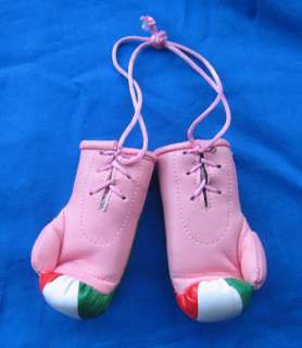Pair of Pink Mini Italian boxing gloves with the word ITALIA printed 