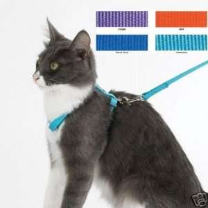  East Side Collection Nylon & Gingham Cat Lead 4 BLUE 