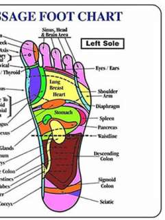Foot Acupressure Chart B