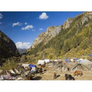  Tent Camp, Yading Nature Reserve, Sichuan Province, China 