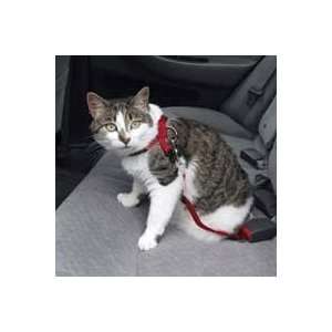  Cat Seatbelt   Cat Safety Harness   Blue