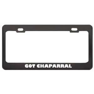 Got Chaparral Chipmunk? Animals Pets Black Metal License Plate Frame 