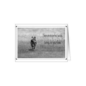  Dog condolence, photo,dog,sympathy, Card Health 