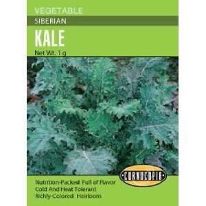  Kale Siberian Seeds Patio, Lawn & Garden