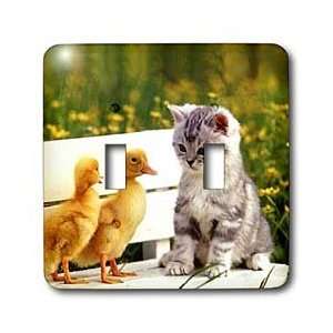  Cats   Kitten and Duck   Light Switch Covers   double 