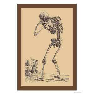   Giclee Poster Print by Andreas Vesalius, 24x32