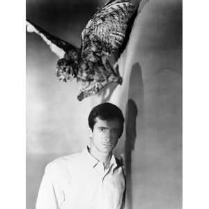 Psycho, Anthony Perkins, 1960 Premium Poster Print, 12x16 