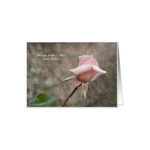  Mothers Day Mother   Pink Rose Bud Card Health 