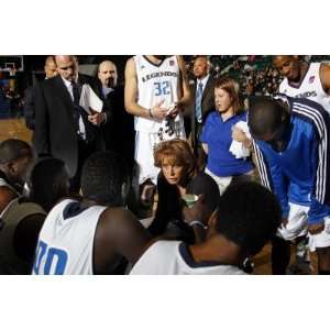   Texas Legends Nancy Lieberman by Layne Murdoch, 48x72