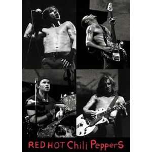  RED HOT CHILI PEPPERS   Postcard