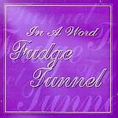 In a Word by Fudge Tunnel CD, Jul 1995, Earache  