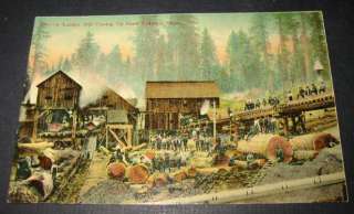   1910   LUMBER MILL Cutting up Giant REDWOOD TREES   POSTCARD  