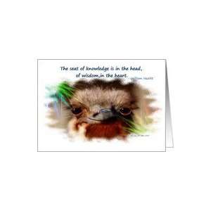  Quote ~ William Hazlitt / Art Card / Baby Ostrich Card 