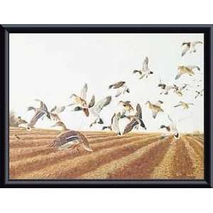   Field   Artist R. William Couch  Poster Size 12 X 16