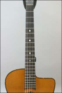   300 Selmer Style John Jorgenson Signature Jazz Acoustic Guitar 196016