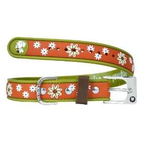   Daze Terra Cotta Collar by Dublin Dog   Small 9 13