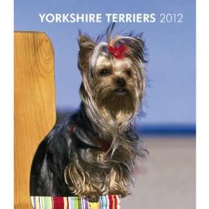   Terriers 2012 Hardcover Weekly Engagement Calendar 