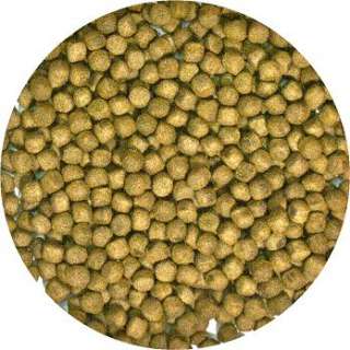 Zoo Med Aquatic Turtle Food Growth 2 1 2 lbs Bulk items in Accipiter 