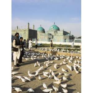  People Feeding the Famous White Pigeons, Mazar I Sharif 