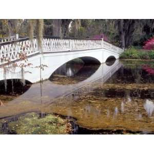  Long White Bridge over Pond, Magnolia Plantation and 