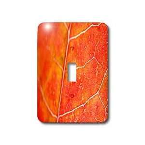 Yves Creations Colorful Leaves   Orange Leaf   Light Switch Covers 