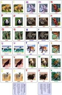 ABC ANIMAL MATCH Game. A Great Educational Game for Kids. NEW Alphabet 