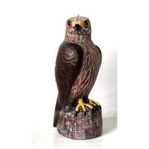  Hawk Decoy Patio, Lawn & Garden